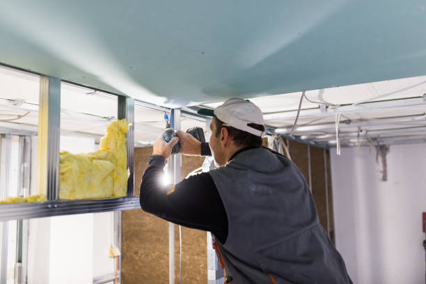 Best Types of Insulation in South Whitley, IN